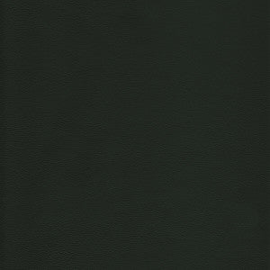 L-Howdy-Evergreen by Kravet Design Fabric