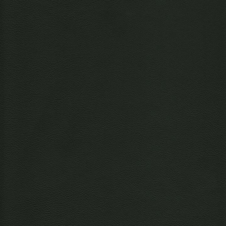 L-Howdy-Evergreen by Kravet Design Fabric BLEACH CLEANABLE LEATHER LEATHER - 100% Italy HEAVY Horizontal: 0 and Vertical: 0 - Fabric Carolina -
