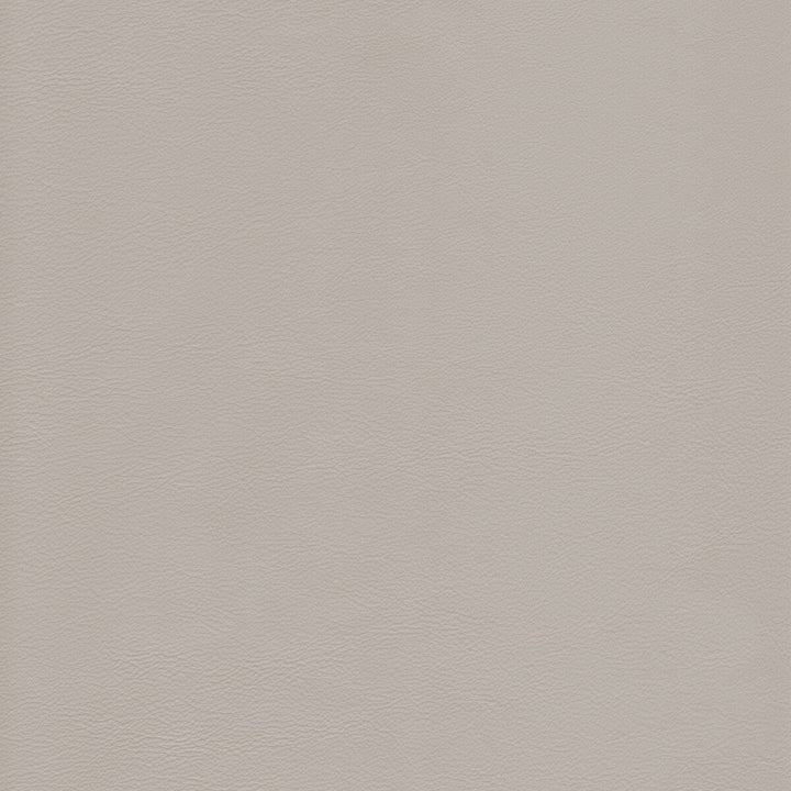 L-Howdy-Grey by Kravet Design Fabric BLEACH CLEANABLE LEATHER LEATHER - 100% Italy HEAVY Horizontal: 0 and Vertical: 0 - Fabric Carolina -