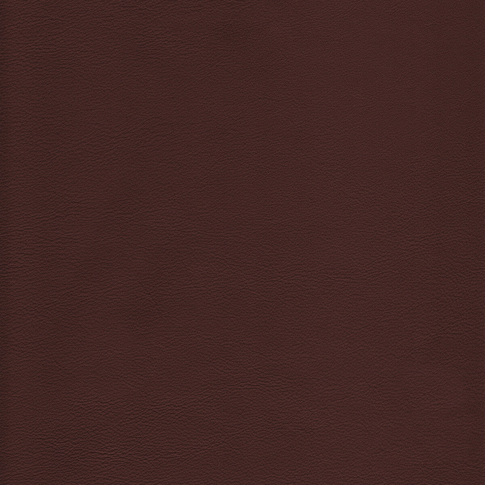 L-Howdy-Latte by Kravet Design Fabric BLEACH CLEANABLE LEATHER LEATHER - 100% Italy HEAVY Horizontal: 0 and Vertical: 0 - Fabric Carolina -