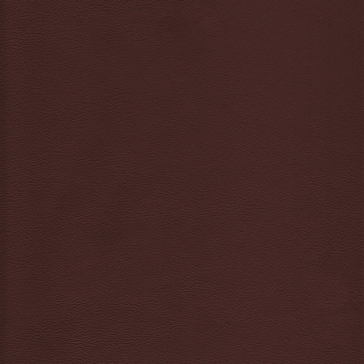 L-Howdy-Latte by Kravet Design Fabric BLEACH CLEANABLE LEATHER LEATHER - 100% Italy HEAVY Horizontal: 0 and Vertical: 0 - Fabric Carolina -