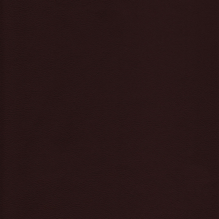 Kravet Design Upholstery L-HOWDY.MOCHA.0 Upholstery LEATHER - 100% Italy </p><p>Repeat: H: , V: 27.5 21 - My Fabric Connection -