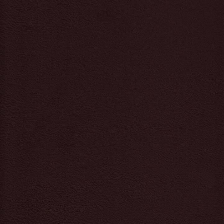 L-Howdy-Mocha by Kravet Design Fabric BLEACH CLEANABLE LEATHER LEATHER - 100% Italy HEAVY Horizontal: 0 and Vertical: 0 - Fabric Carolina -