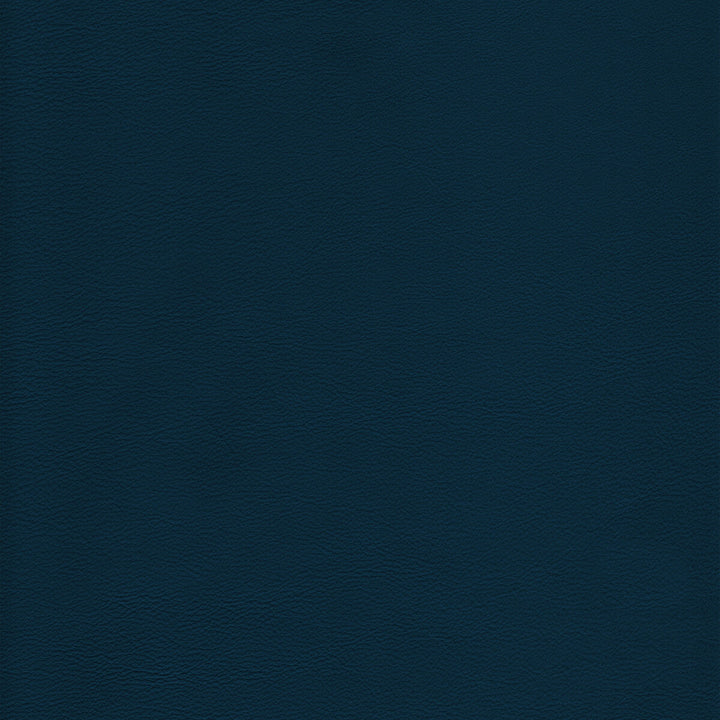 L-Howdy-Ocean by Kravet Design Fabric BLEACH CLEANABLE LEATHER LEATHER - 100% Italy HEAVY Horizontal: 0 and Vertical: 0 - Fabric Carolina -