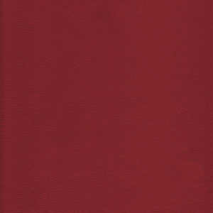 L-Howdy-Salsa by Kravet Design Fabric