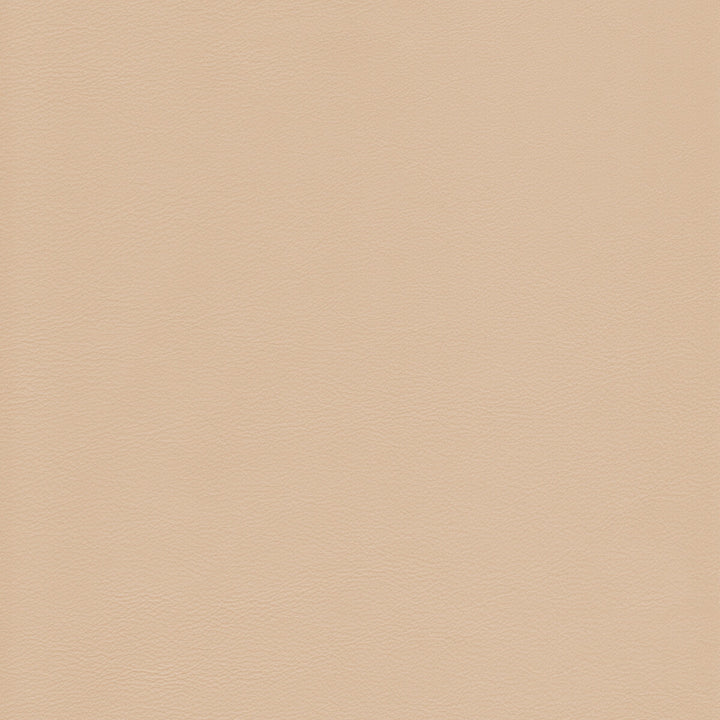 L-Howdy-Sand by Kravet Design Fabric BLEACH CLEANABLE LEATHER LEATHER - 100% Italy HEAVY Horizontal: 0 and Vertical: 0 - Fabric Carolina -