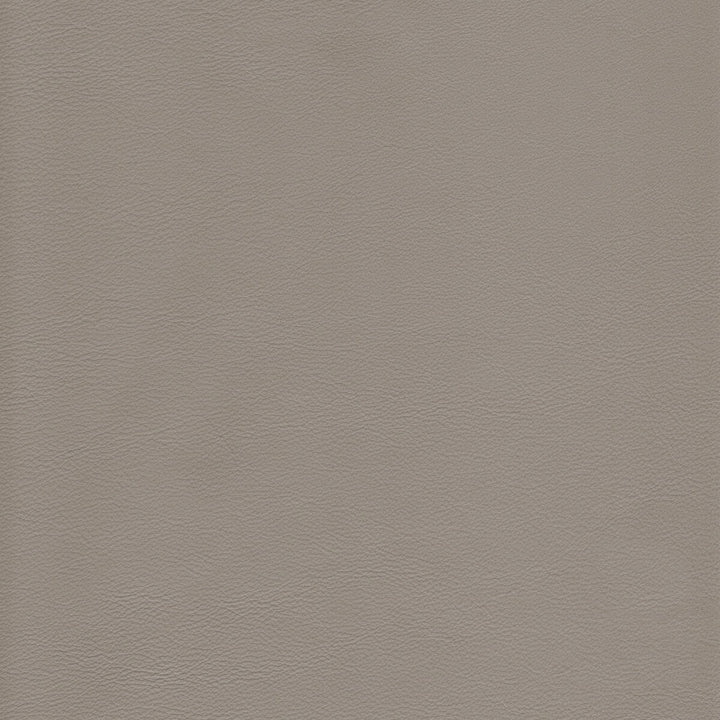 L-Howdy-Slate by Kravet Design Fabric BLEACH CLEANABLE LEATHER LEATHER - 100% Italy HEAVY Horizontal: 0 and Vertical: 0 - Fabric Carolina -