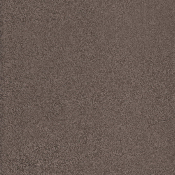 L-Howdy-Taupe by Kravet Design Fabric BLEACH CLEANABLE LEATHER LEATHER - 100% Italy HEAVY Horizontal: 0 and Vertical: 0 - Fabric Carolina -