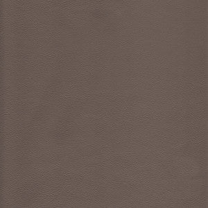L-Howdy-Taupe by Kravet Design Fabric