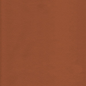 L-Howdy-Toffee by Kravet Design Fabric