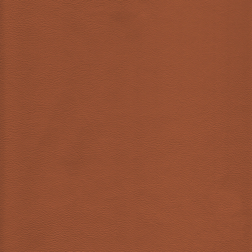 L-Howdy-Toffee by Kravet Design Fabric BLEACH CLEANABLE LEATHER LEATHER - 100% Italy HEAVY Horizontal: and Vertical: - Fabric Carolina -