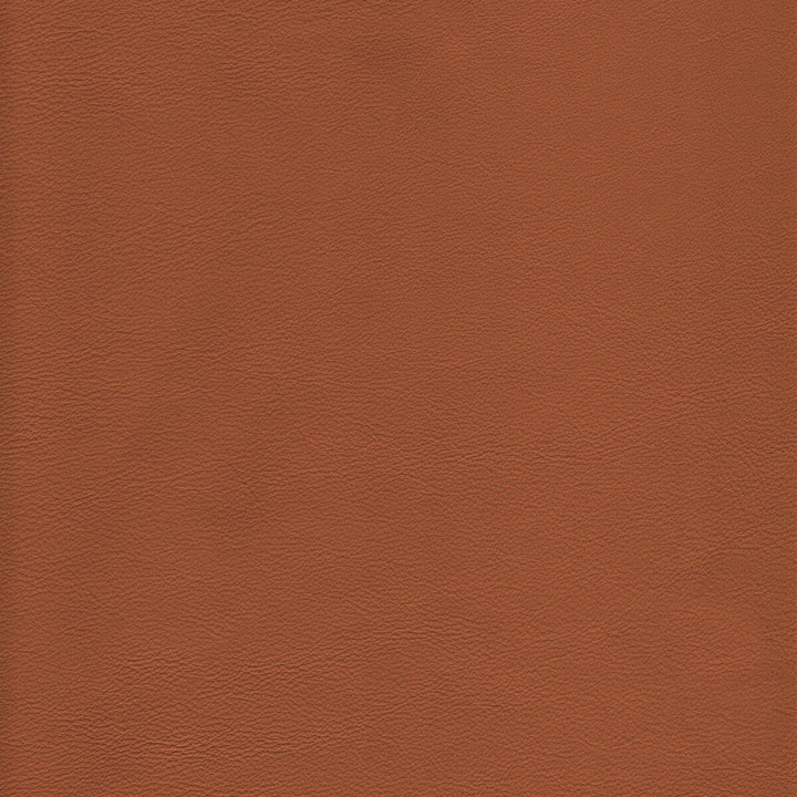 L-Howdy-Toffee by Kravet Design Fabric BLEACH CLEANABLE LEATHER LEATHER - 100% Italy HEAVY Horizontal: and Vertical: - Fabric Carolina -