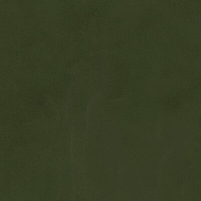 Kravet Design Upholstery L-LOBO.LEAF.0 Upholstery LEATHER - 100% Italy </p><p>Repeat: H: , V: 27.5 21 - My Fabric Connection -