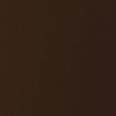 Kravet Design Upholstery L-LOMA.MOCHA.0 Upholstery LEATHER - 100% Italy </p><p>Repeat: H: , V: 27.5 21 - My Fabric Connection -