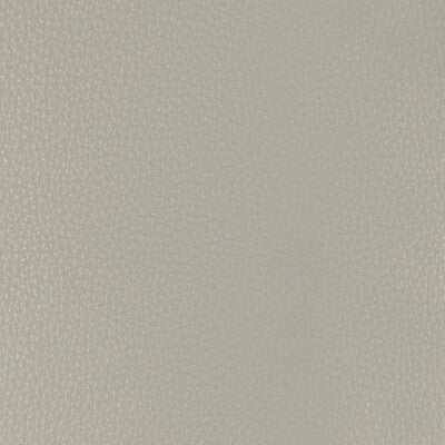 Kravet Design Upholstery L-MALPAIS.STONE.0 Upholstery LEATHER - 100% Italy </p><p>Repeat: H: , V: 27.5 21 - My Fabric Connection -
