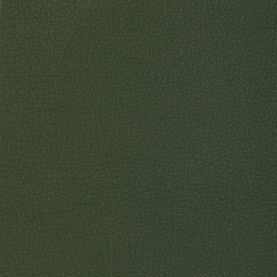 Kravet Design Upholstery L-MANZANO.SAGE.0 Upholstery LEATHER - 100% Italy </p><p>Repeat: H: , V: 27.5 21 - My Fabric Connection -