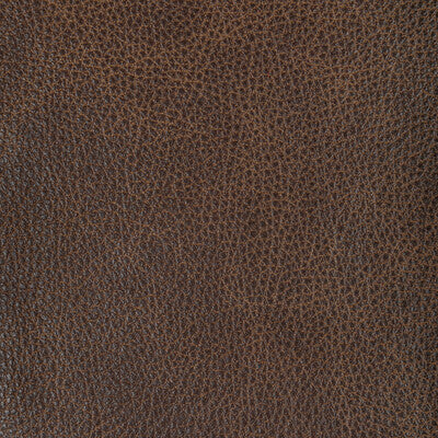 Kravet Design Upholstery L-NAMBE.COCOA.0 Upholstery LEATHER - 100% Brazil </p><p>Repeat: H: , V: 27.5 21 - My Fabric Connection -