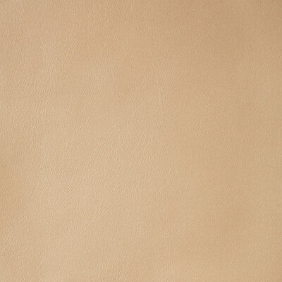 Kravet Design Upholstery L-NAMIB.SAND.0 Upholstery LEATHER - 100% Italy </p><p>Repeat: H: , V: 27.5 21 - My Fabric Connection -