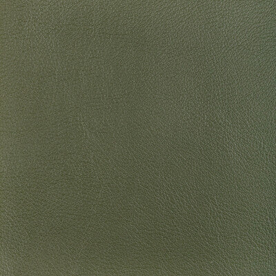 Kravet Design Upholstery L-OCOTILLO.HUNTER.0 Upholstery LEATHER - 100% Italy </p><p>Repeat: H: , V: 27.5 21 - My Fabric Connection -
