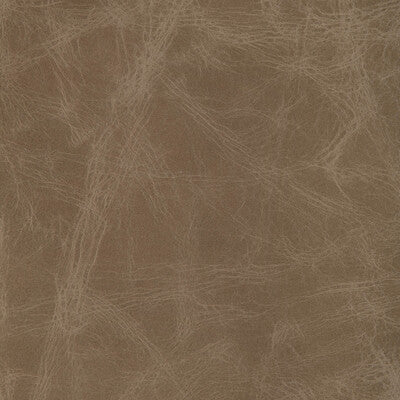 Kravet Design Upholstery L-OVINE.FAWN.0 Upholstery LEATHER - 100% Italy </p><p>Repeat: H: , V: 27.5 21 - My Fabric Connection -