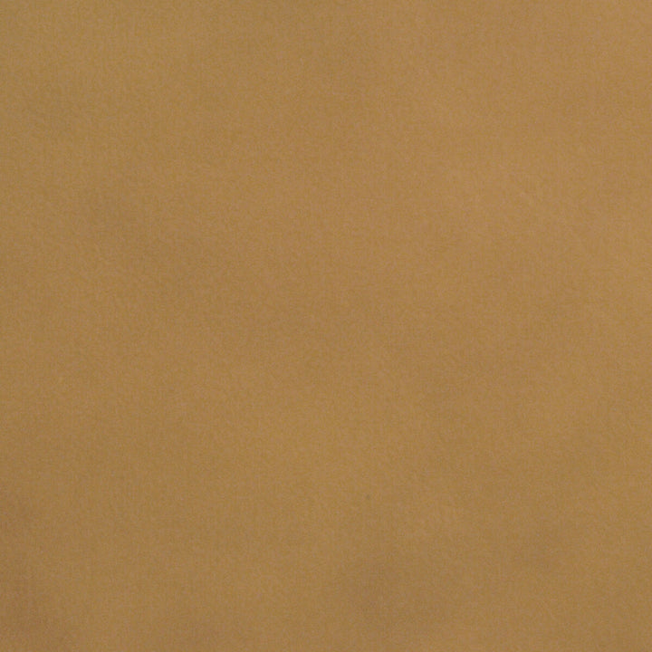 L-Portofin-Tan by Kravet Design Fabric LEATHER - 100% Brazil LIGHT Horizontal: 0 and Vertical: 0 - Fabric Carolina -