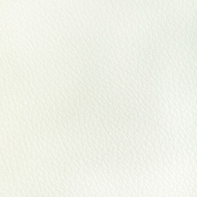 Kravet Design Upholstery L-REATA.SNOW.0 Upholstery LEATHER - 100% Brazil </p><p>Repeat: H: , V: 27.5 21 - My Fabric Connection -