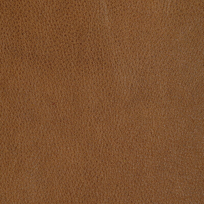 Kravet Design Upholstery L-REIN.CHAI.0 Upholstery LEATHER - 100% Italy </p><p>Repeat: H: , V: 27.5 21 - My Fabric Connection -