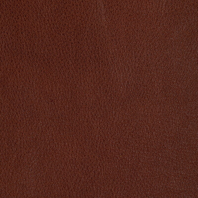 Kravet Design Upholstery L-REIN.MAPLE.0 Upholstery LEATHER - 100% Italy </p><p>Repeat: H: , V: 27.5 21 - My Fabric Connection -