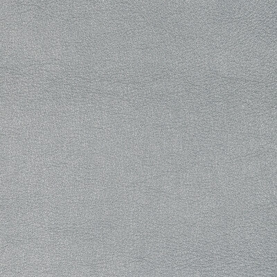 Kravet Design Upholstery L-SIERRA.PLATINUM.0 Upholstery LEATHER - 100% Italy </p><p>Repeat: H: , V: 27.5 21 - My Fabric Connection -