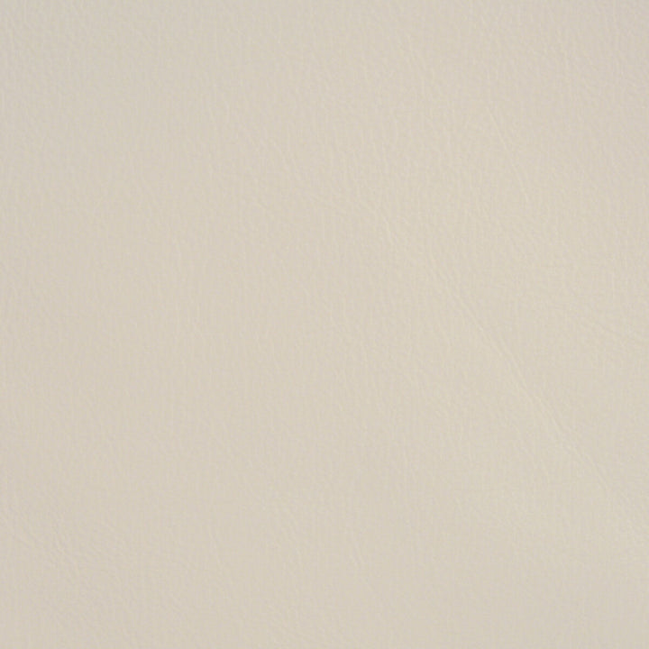 L-Spectrum-Moonbeam by Kravet Design Fabric LEATHER - 100% United States LIGHT Horizontal: 0 and Vertical: 0 - Fabric Carolina -