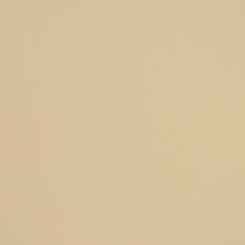 L-Spectrum-Oyster by Kravet Design Fabric LEATHER - 100% United States LIGHT Horizontal: 0 and Vertical: 0 - Fabric Carolina -