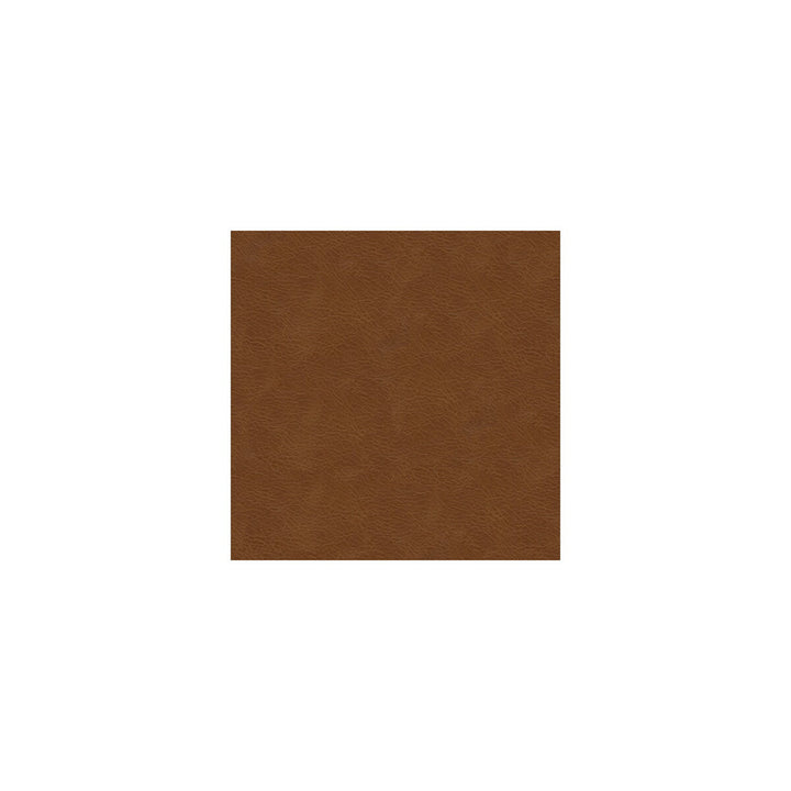 L-Texas-Brandy by Kravet Design Fabric LEATHER - 100% Italy LIGHT Horizontal: 0 and Vertical: 0 - Fabric Carolina -