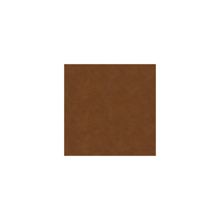 L-Texas-Brandy by Kravet Design Designer Fabric LEATHER - 100% Italy LIGHT Horizontal: 0 and Vertical: 0 - Swanky Fabrics -