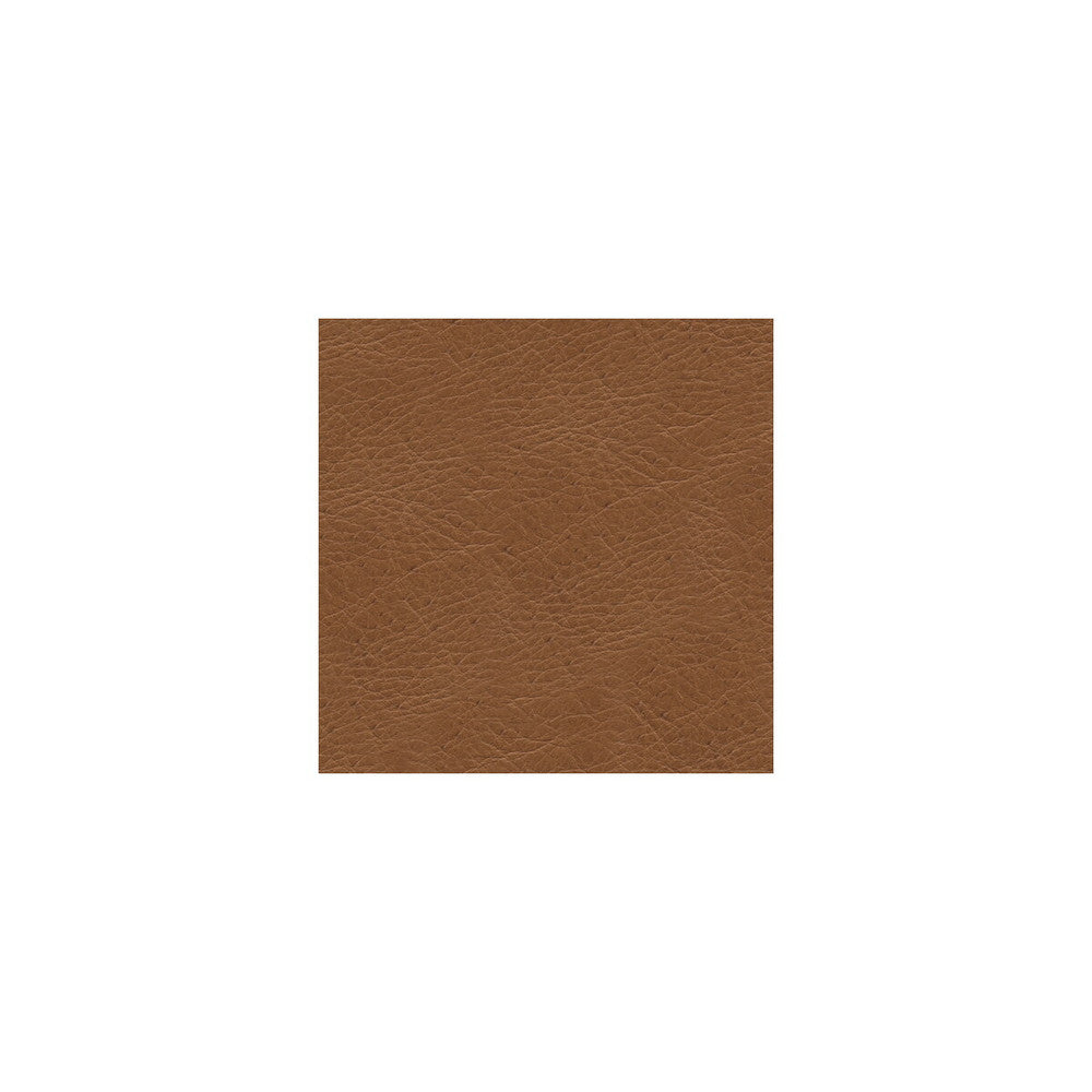 L-Timeless-Desert by Kravet Design Fabric - LEATHER - 100% Italy LIGHT Horizontal: 0 and Vertical: 0 - - Fabric Carolina -