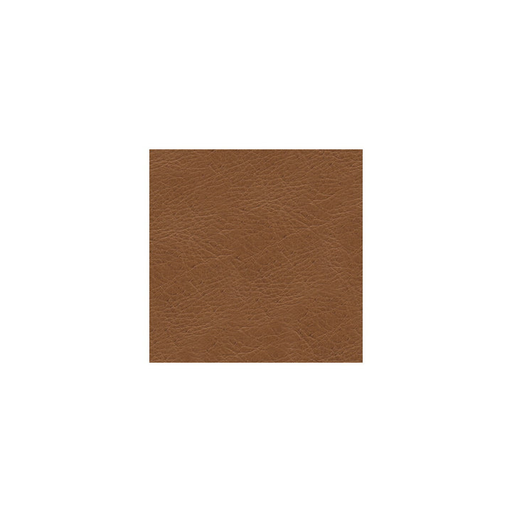 L-Timeless-Desert by Kravet Design Fabric LEATHER - 100% Italy LIGHT Horizontal: 0 and Vertical: 0 - Fabric Carolina -