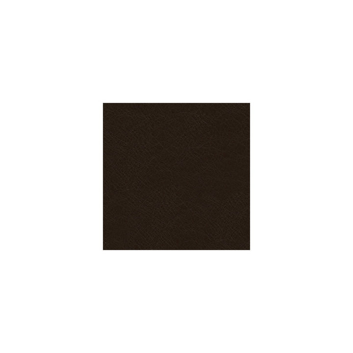 L-Timeless-Ebony by Kravet Design Fabric - LEATHER - 100% Italy LIGHT Horizontal: 0 and Vertical: 0 - - Fabric Carolina -