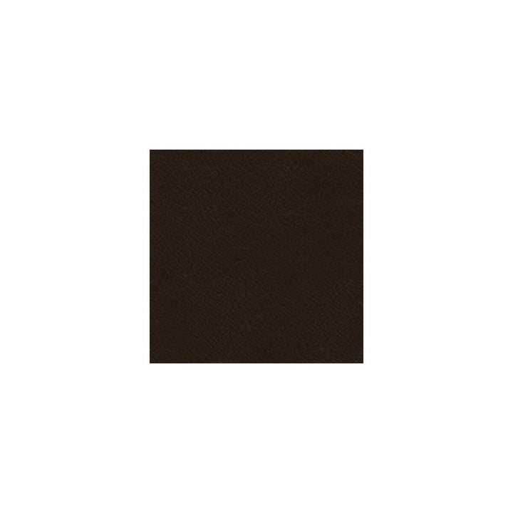 L-Timeless-Ebony by Kravet Design Designer Fabric LEATHER - 100% Italy LIGHT Horizontal: 0 and Vertical: 0 - Swanky Fabrics -