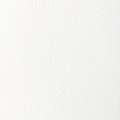 Kravet Design Upholstery L-TUCUM.CLOUD.0 Upholstery LEATHER - 100% United States </p><p>Repeat: H: , V: 27.5 21 - My Fabric Connection -