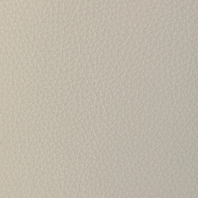 Kravet Design Upholstery L-TUCUM.DOVE.0 Upholstery LEATHER - 100% United States </p><p>Repeat: H: , V: 27.5 21 - My Fabric Connection -