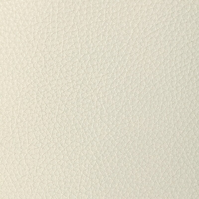 Kravet Design Upholstery L-TUCUM.OYSTER.0 Upholstery LEATHER - 100% United States </p><p>Repeat: H: , V: 27.5 21 - My Fabric Connection -