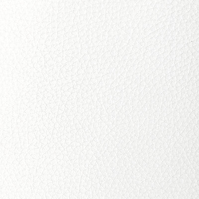 Kravet Design Upholstery L-TUCUM.POWDER.0 Upholstery LEATHER - 100% United States </p><p>Repeat: H: , V: 27.5 21 - My Fabric Connection -