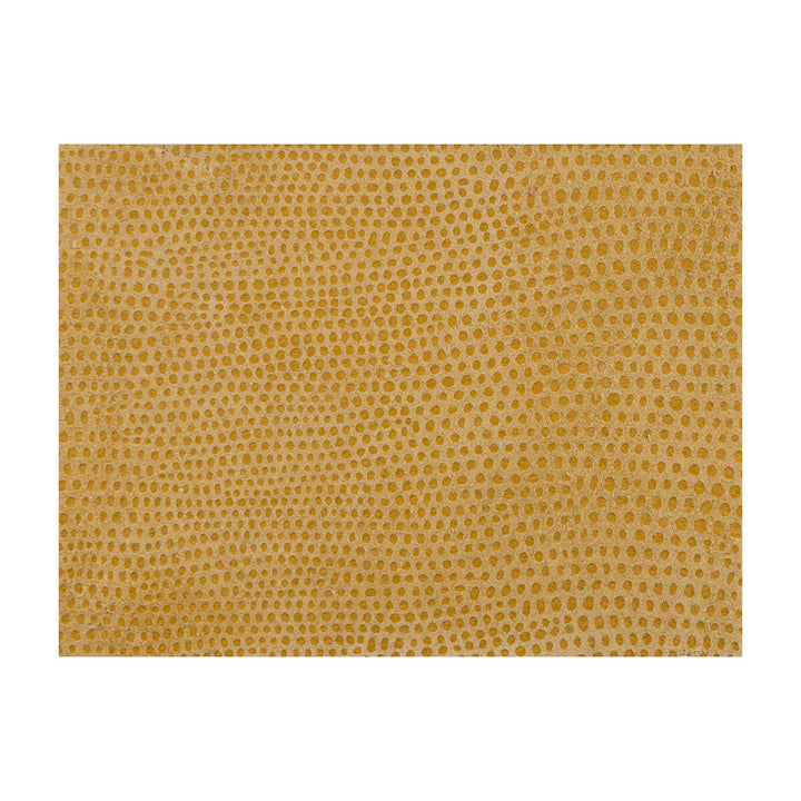 L-Vavoom Coin by Kravet Design Fabric LEATHER - 100% Spain Horizontal: and Vertical: - Fabric Carolina -