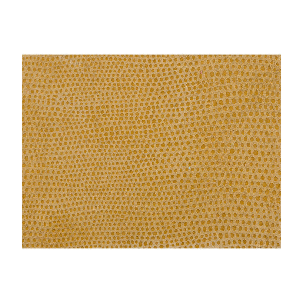 L-Vavoom Coin by Kravet Design Fabric LEATHER - 100% Spain Horizontal: and Vertical: - Fabric Carolina -