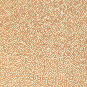 Kravet Design L-Whit-Camel L-WHIT.CAMEL.0 by Kravet Design Fabric