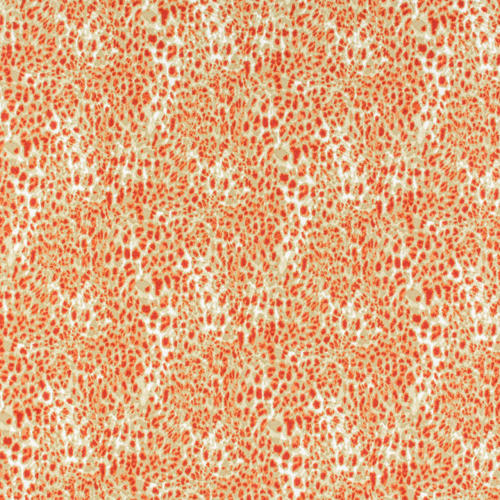Lahaska 1 Paprika by Stout Fabric RAINBOW LIBRARY TILE/SORBET 100%COT INDIA CATB 117-2013 WYZENBEEK 30 000 DOUBLE RUB WEAR TEST (HEAVY DUTY) </p><p>Repeat: 13.5 54 in - Fabric Carolina -