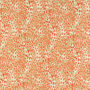 Lahaska 1 Paprika by Stout Fabric