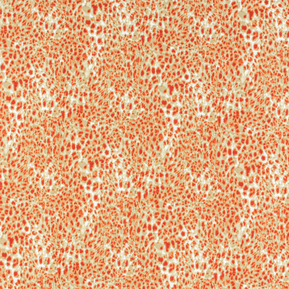 Lahaska 1 Paprika by Stout Fabric RAINBOW LIBRARY TILE/SORBET 100%COT INDIA CATB 117-2013 WYZENBEEK 30 000 DOUBLE RUB WEAR TEST (HEAVY DUTY) Horizontal: 13.75 and Vertical: 13.5 54 in - Fabric Carolina -