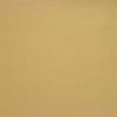Kravet Design Lalin-4 by Kravet Design Fabric Kravet Design Fabric Kravet Design Lalin-4Fabric POLYVINYL CHLORIDE - 75%;POLYESTER - 25% Korea, Republic of </p><p>Repeat: H: 0, V: 0 54 - Fabric Carolina -