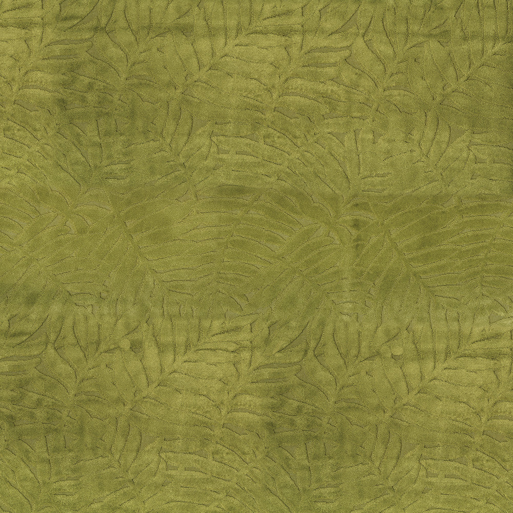 Lanai 205 Palm by ABBEYSHEA Fabric 100% Polyester CN 50,000 Double Rubs (Wyzenbeek) </p><p>Repeat: Horizontal: 10.5 in. (26.5 cm) up the roll and Vertical: 13.98 in. (35.5 cm) across the roll 57 in. (145 cm) - Fabric Carolina -