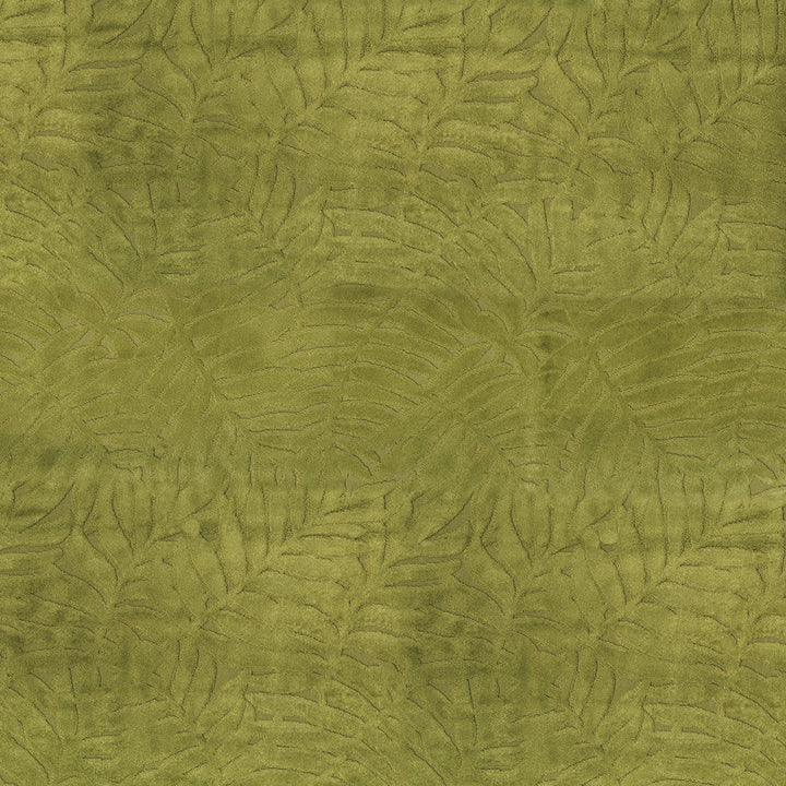Lanai 205 Palm by ABBEYSHEA Fabric 100% Polyester CN 50,000 Double Rubs (Wyzenbeek) </p><p>Repeat: Horizontal: 10.5 in. (26.5 cm) up the roll and Vertical: 13.98 in. (35.5 cm) across the roll 57 in. (145 cm) - Fabric Carolina -